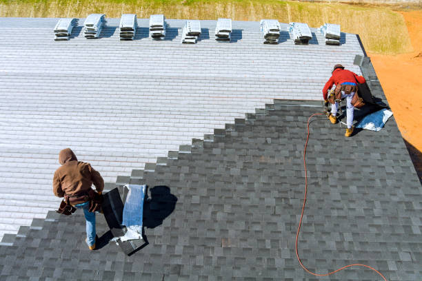 Best Roof Moss and Algae Removal  in Moyie Springs, ID