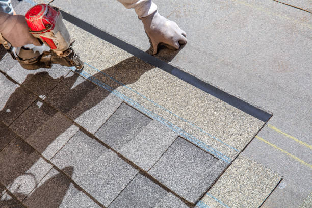 Best Roof Maintenance and Cleaning  in Moyie Springs, ID